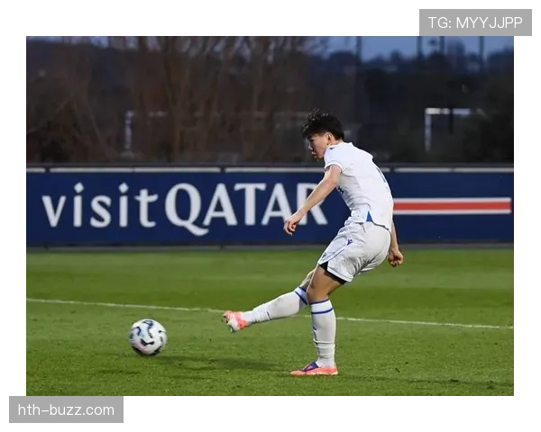 卡马文加：法国国家队新星崛起背后的希望与挑战