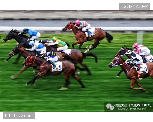 富里睡醒发现自家马场又多了一匹新马，账单比拳赛还长